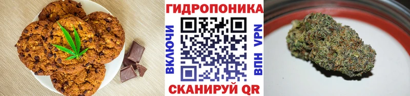 Cannafood конопля  Купить где  Приморск 