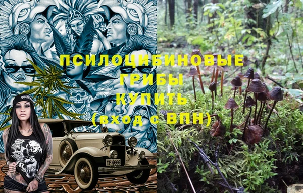 apvp Горняк