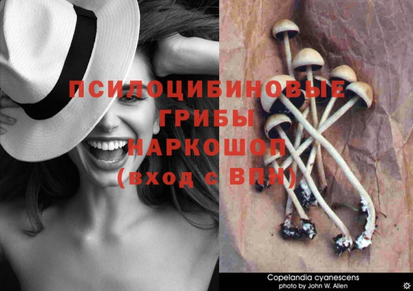 apvp Горняк