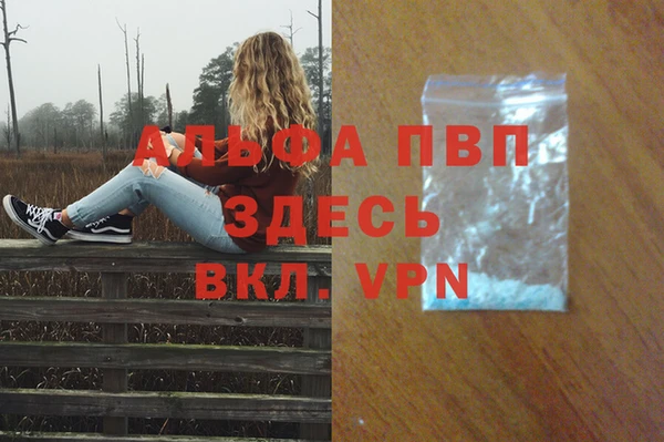СК Горнозаводск