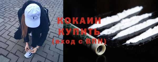 apvp Горняк