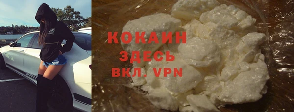 apvp Горняк