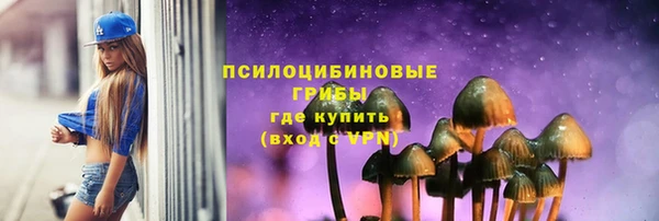 apvp Горняк