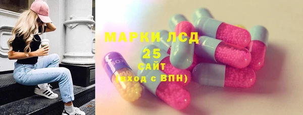 apvp Горняк