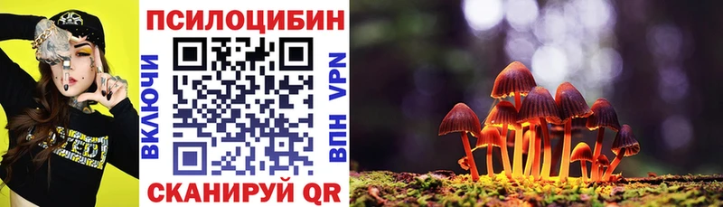 Купить  Приморск  Галлюциногенные грибы мухоморы 
